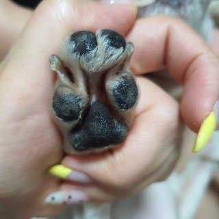엣헴님이 올린 리뷰 사진 3