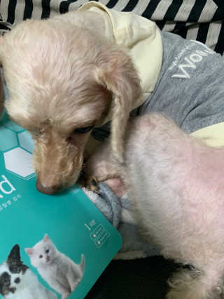 뽀로로님이 올린 리뷰 사진 3