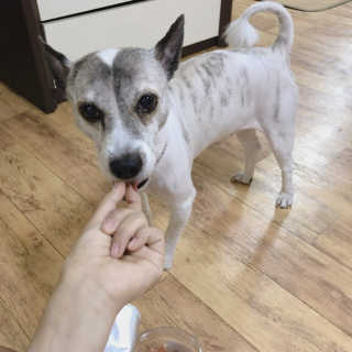 은해짱님이 올린 리뷰 사진 3