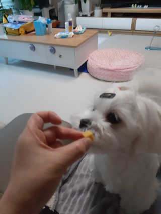 부산댁님이 올린 리뷰 사진 4
