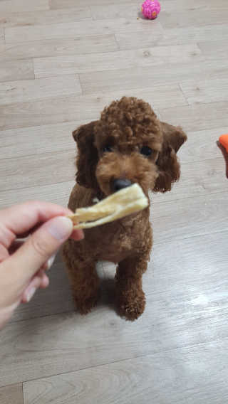 미니이님이 올린 리뷰 사진 2