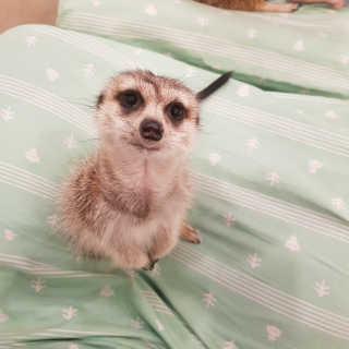 JiEunJeon님이 올린 리뷰 사진 2