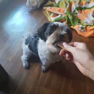 가횽님이 올린 리뷰 사진 2