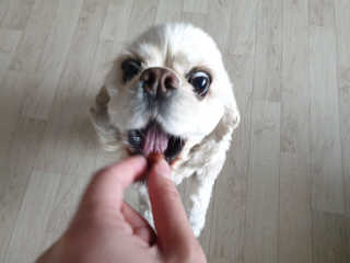 SohyeonLee님이 올린 리뷰 사진 3