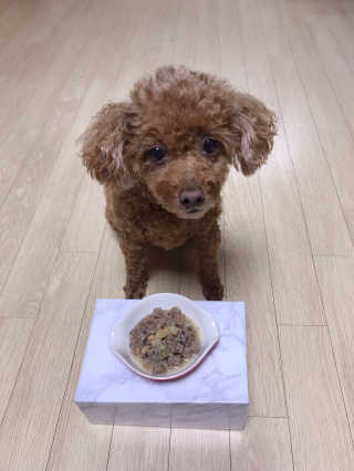 [어글어글] 반려견 친환경 간식 9종 세트 — 5점을 준 리뷰어가 2019년 11월 올린 사용 사진