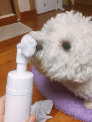 EmilyYu님이 올린 리뷰 사진 1