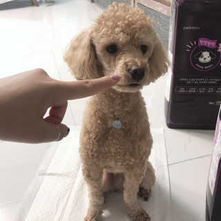 꿀님이 올린 리뷰 사진 3