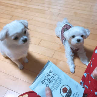 채꽃신님이 올린 리뷰 사진 3