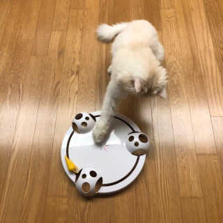 한글라쓰님이 올린 리뷰 사진 1