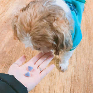 최수영님이 올린 리뷰 사진 2