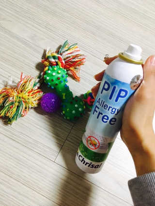 이유용님이 올린 리뷰 사진 1