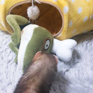 시나마나애영님이 올린 리뷰 사진 2