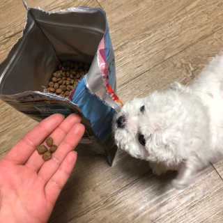 현아님이 올린 리뷰 사진 1