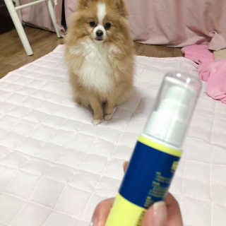 영블리님이 올린 리뷰 사진 2