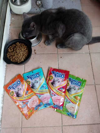 펫토리아 짜먹는 토로토로 고양이 파우치 간식 — 5점을 준 리뷰어가 2019년 6월 올린 사용 사진