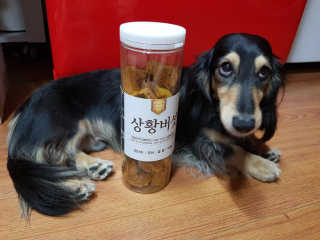 5_daks님이 올린 리뷰 사진 1