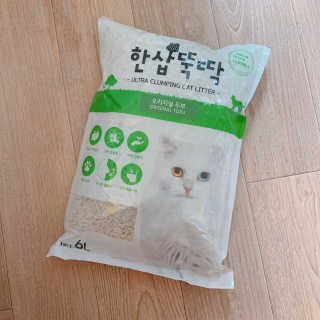 [펫토리아] BEST 고양이두부모래 6L 한삽뚝딱 — 1점을 준 리뷰어가 2019년 1월 올린 사용 사진