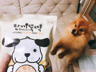 [펫토리아] 맛도 영양도 BEST 한끼뚝딱 강아지 사료 — 5점을 준 리뷰어가 2018년 12월 올린 사용 사진
