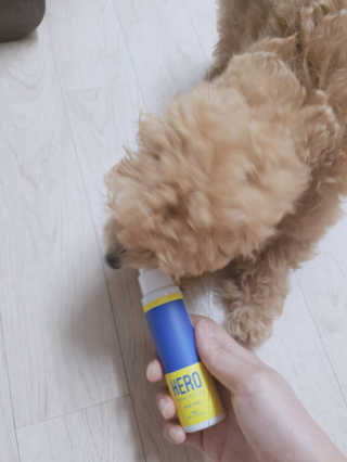 YulaKim님이 올린 리뷰 사진 2