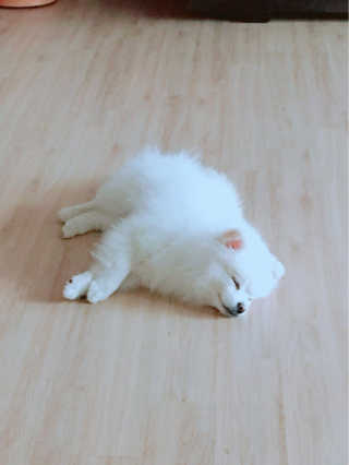 소퍄당님이 올린 리뷰 사진 3