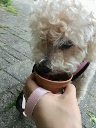 CW님이 올린 리뷰 사진 4