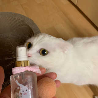 michichi208님이 올린 리뷰 사진 2