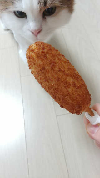 김재이님이 올린 리뷰 사진 2