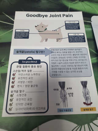 잠보아 뉴트리페어 굿바이 조인트페인 — 5점을 준 리뷰어가 2020년 1월 올린 사용 사진