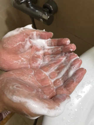 코에나샴푸 500ml — 4점을 준 리뷰어가 2019년 8월 올린 사용 사진
