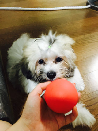 윤콩님이 올린 리뷰 사진 1