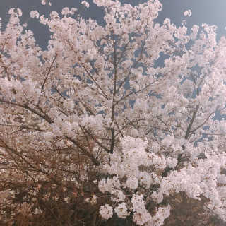김나영님이 올린 리뷰 사진 3