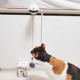 JENNY님이 올린 리뷰 사진 2