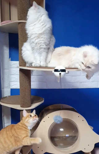 fively님이 올린 리뷰 사진 2