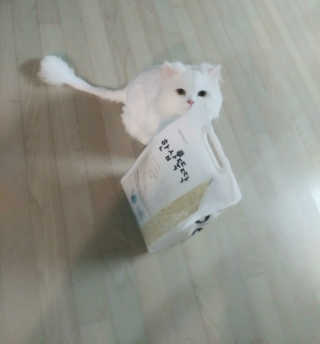 다온e맘님이 올린 리뷰 사진 2