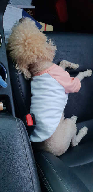 서주나님이 올린 리뷰 사진 4