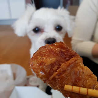 수희공주님님이 올린 리뷰 사진 2