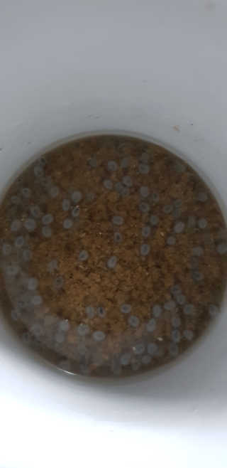 푸카카님이 올린 리뷰 사진 4