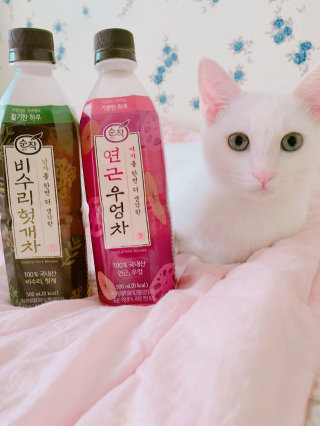 가든박님이 올린 리뷰 사진 1