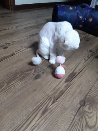 좋아님이 올린 리뷰 사진 4