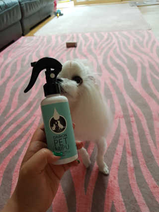 지뿡님이 올린 리뷰 사진 1