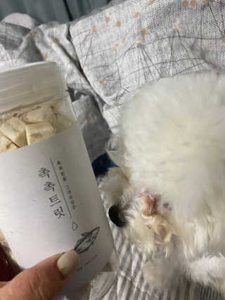 펫프렌즈 [면역력강화]첨가 북어 100퍼센트 촉촉트릿 북어 80g — 4점을 준 리뷰어가 2020년 1월 올린 사용 사진