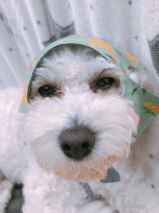 도리니님이 올린 리뷰 사진 3