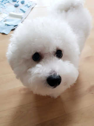 min9564님이 올린 리뷰 사진 1