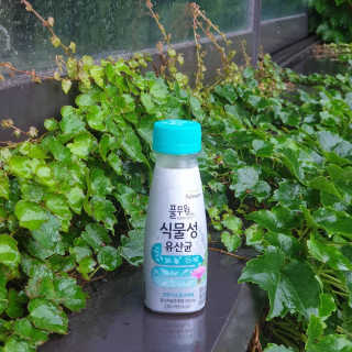 [풀무원 프로바이오틱] 식물성유산균 모링가 밀크씨슬 — 4.5점을 준 리뷰어가 2019년 7월 올린 사용 사진