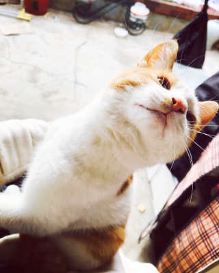 Gani님이 올린 리뷰 사진 3