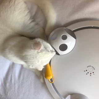kittyiris님이 올린 리뷰 사진 2