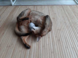 꽁스님이 올린 리뷰 사진 2