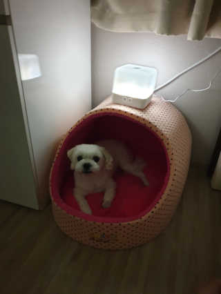 뽀야님이 올린 리뷰 사진 4