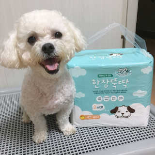 설량님이 올린 리뷰 사진 1