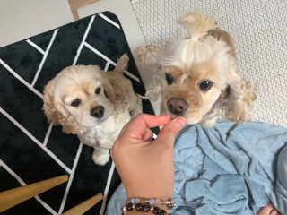 오쩡아님이 올린 리뷰 사진 3